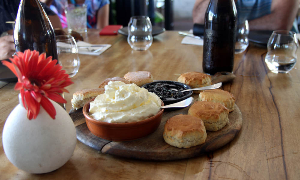 Cairns City Sights Afternoon Tour