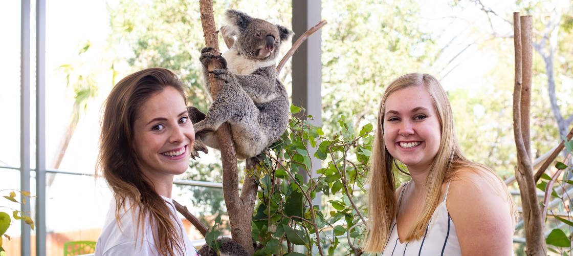 Sydney 4 Attractions Pass with Lunch and Cruise