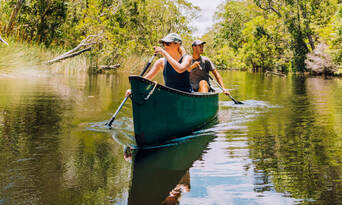 Eco Safaris Everglades tour with lunch Thumbnail 3