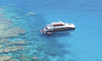 Great Barrier Reef Dreamtime Cruise with Indigenous Sea Rangers Thumbnail 1