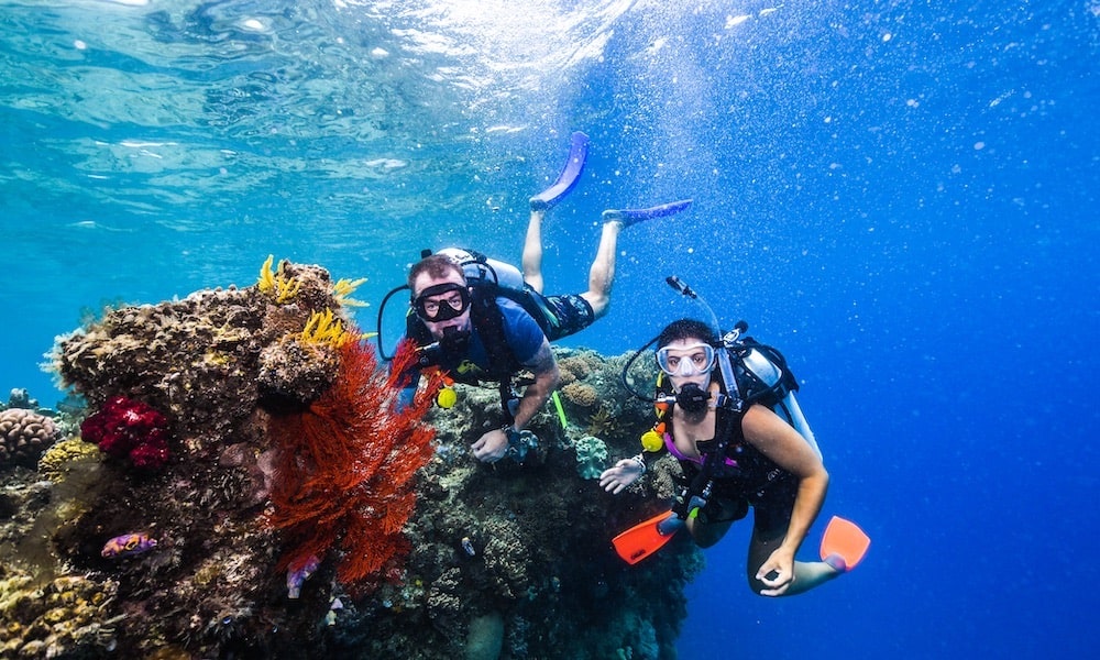 Great Barrier Reef Dreamtime Cruise with Indigenous Sea Rangers