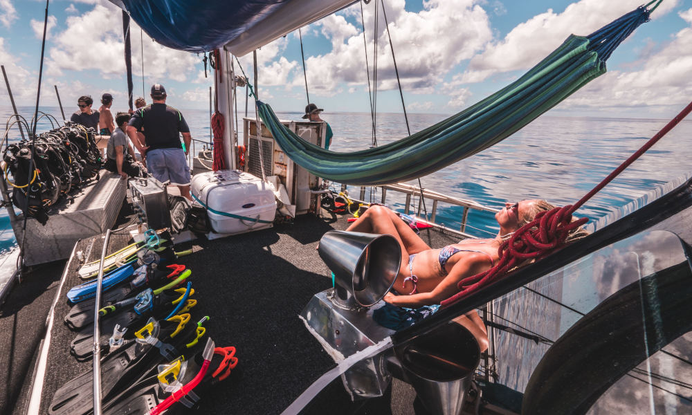 Great Barrier Reef Overnight Snorkel and Dive Sail Tour