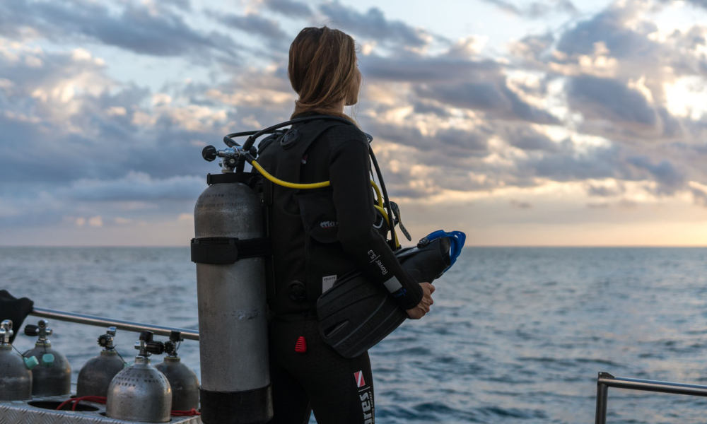 Great Barrier Reef Overnight Snorkel and Dive Sail Tour