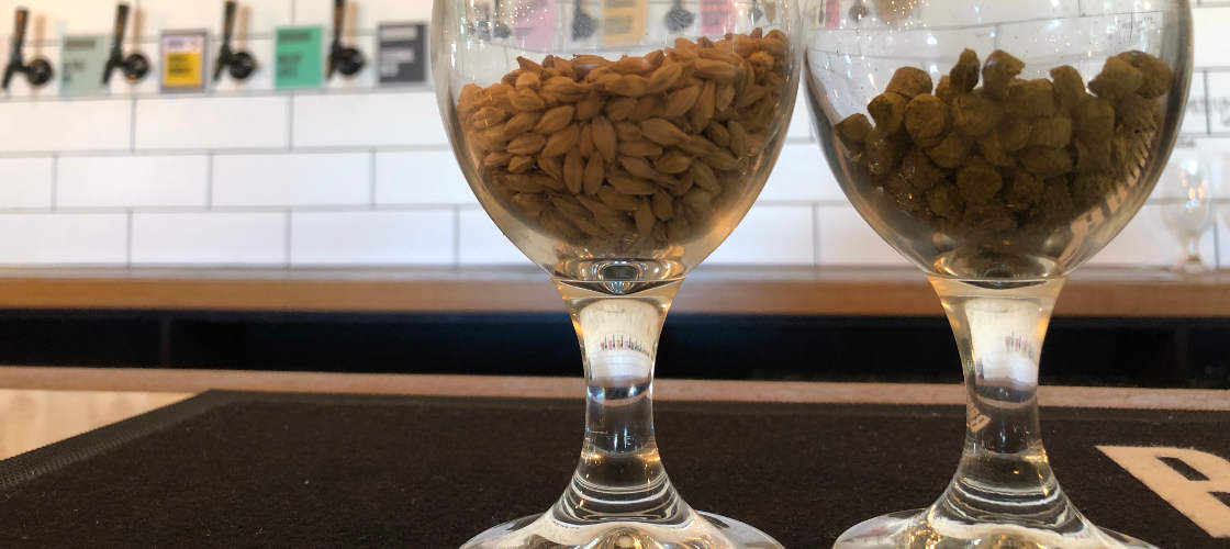 Sunshine Coast Hinterland Craft Beer Tour