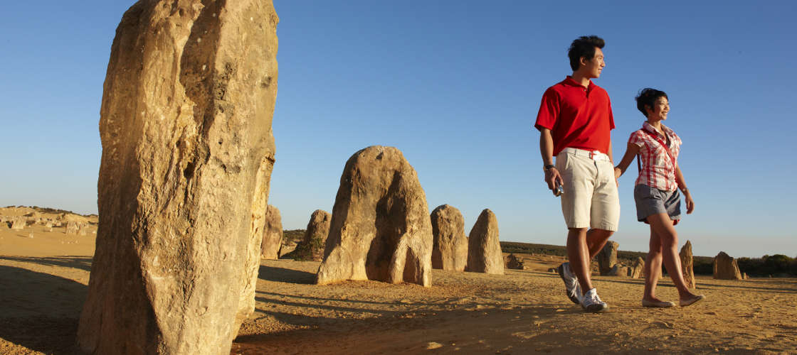 Pinnacles Sunset Dinner and Stargazing Tour From Perth