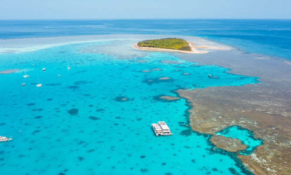 Lady Musgrave Island Day Trip from Bundaberg