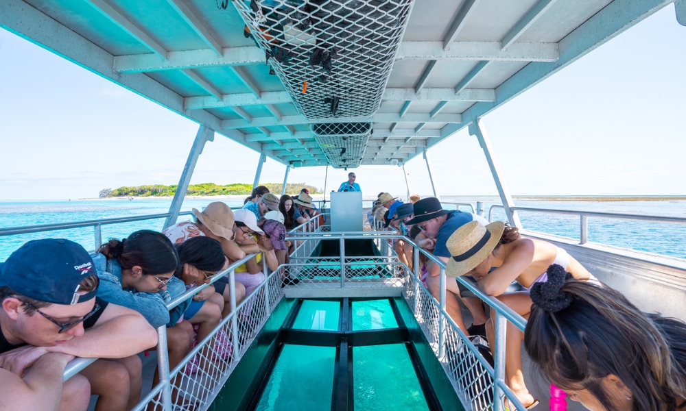Lady Musgrave Island Day Trip from Bundaberg