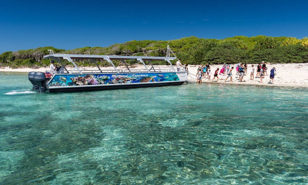 Lady Musgrave Island Day Trip from Bundaberg
