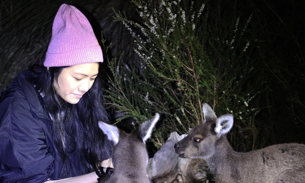 The Margaret River Nocturnal Wildlife Tour