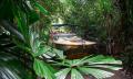 Grand Kuranda Rainforest Full Day Tour From Cairns Thumbnail 3