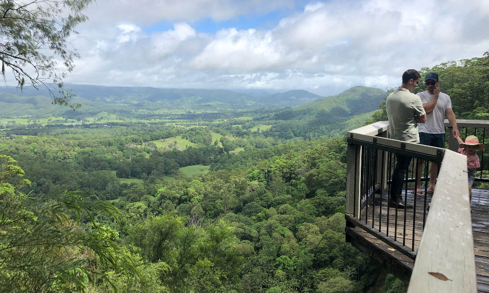 Sunshine Coast Hinterland Rainforest and Montville Village Tour