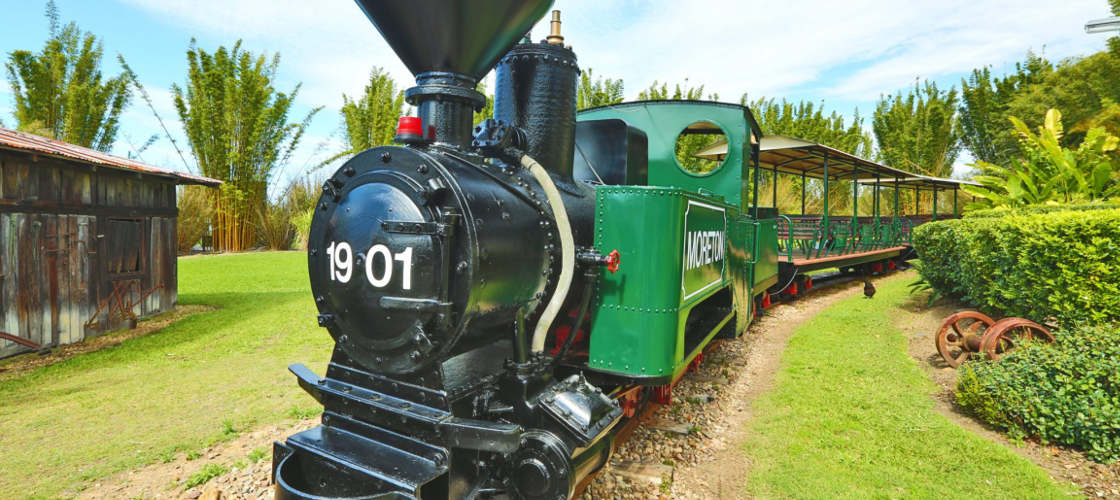 Sunshine Coast Hinterland Rainforest and Montville Village Tour