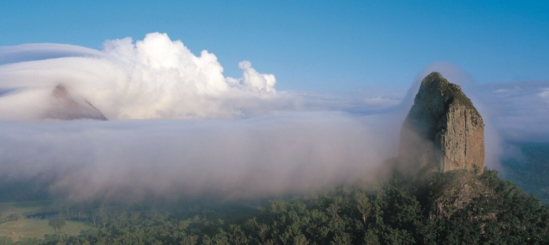 Sunshine Coast Hinterland Rainforest and Montville Village Tour