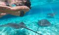 Cook Island Aquatic Reserve Snorkelling Experience Thumbnail 5