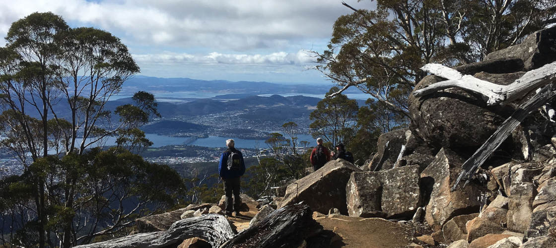 kunanyi Mt Wellington Explorer Bus 2 Hour Return Tour