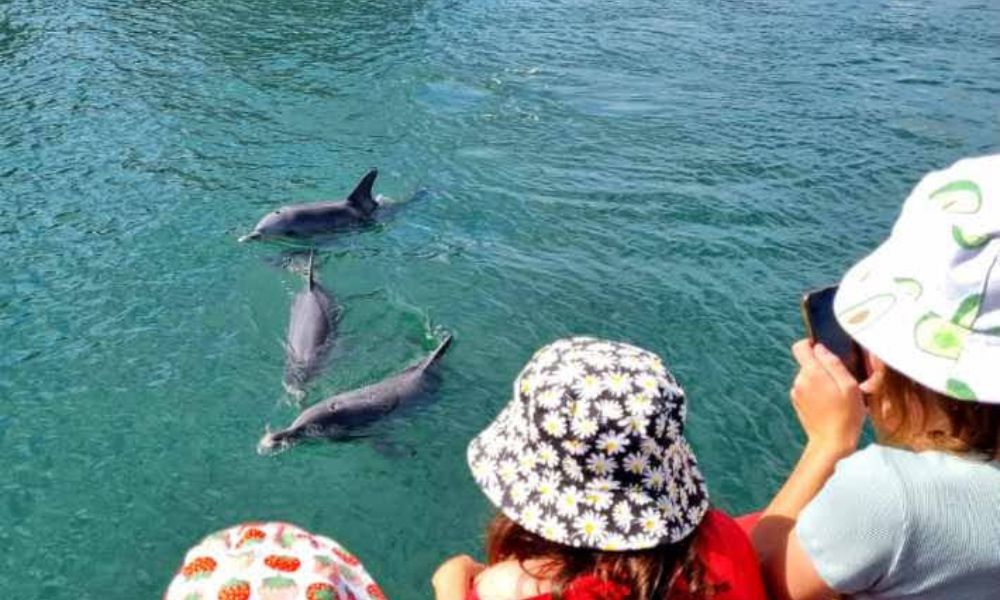 Mandurah Pirate Cruise