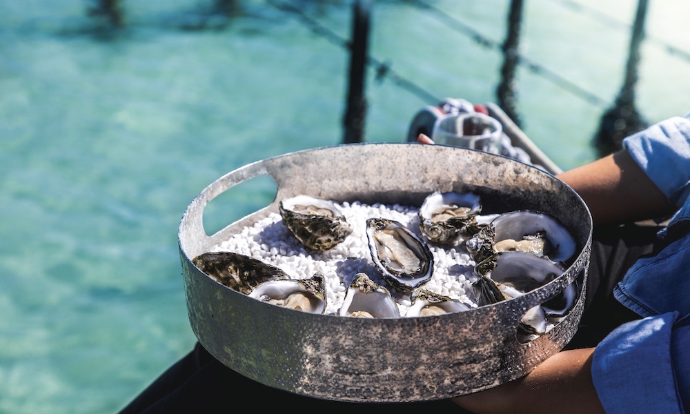 Coffin Bay Day Tour from Port Lincoln including Wine Tasting and Gourmet Lunch