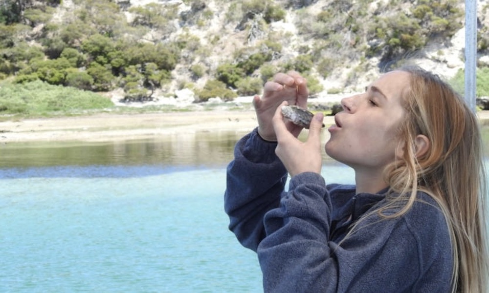 Coffin Bay Day Tour from Port Lincoln including Wine Tasting and Gourmet Lunch