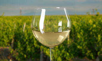 Mornington Peninsula Winery Bus Tour including Lunch and Glass of Wine Thumbnail 5