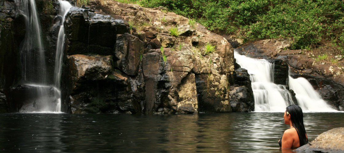 Hinterland Magic and Glow Worm Experience Byron Bay