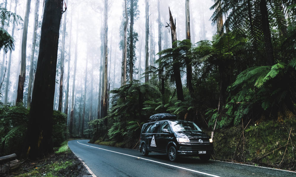 Great Ocean Road, 12 Apostles & Otways Day Tour