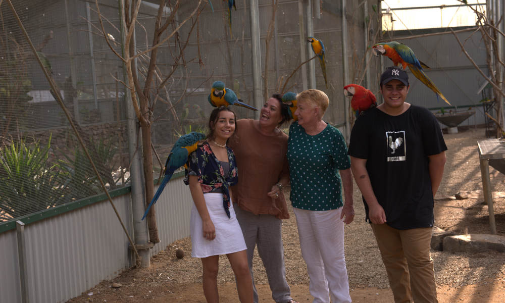 Maleny Botanic Gardens Aviary Tour