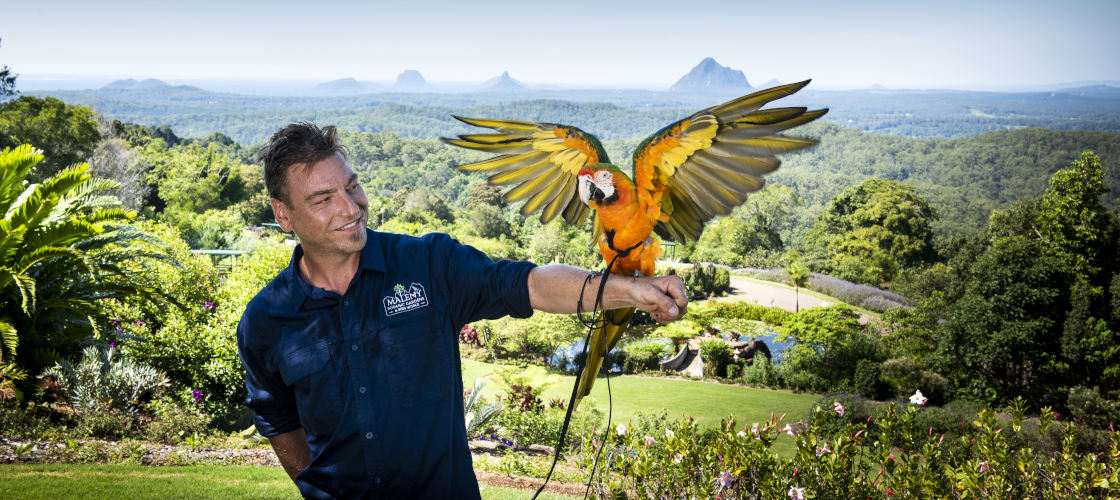Maleny Botanic Gardens Aviary Tour