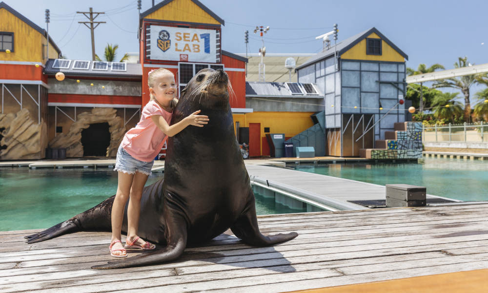 Sea World Seal Encounter