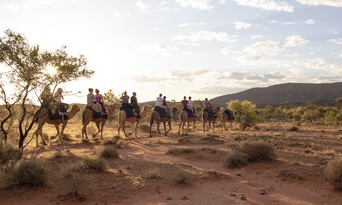 Alice Springs Sunset Camel Ride Thumbnail 3