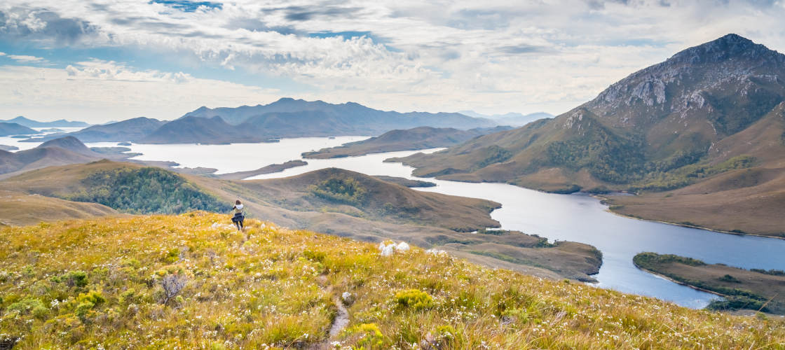 Tasmanian Wilderness Day Tour with Scenic Flights from Hobart