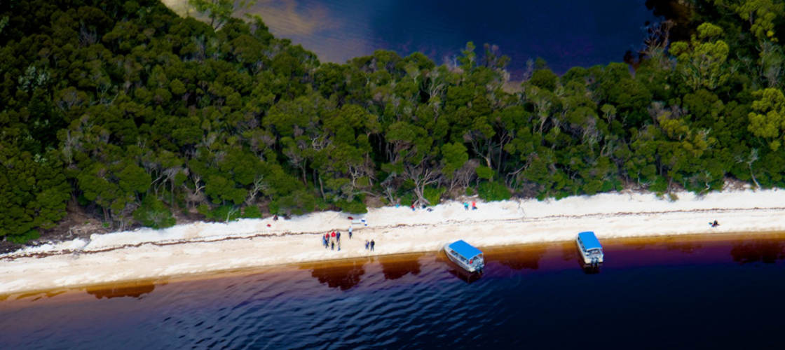 Tasmanian Wilderness Day Tour with Scenic Flights from Hobart