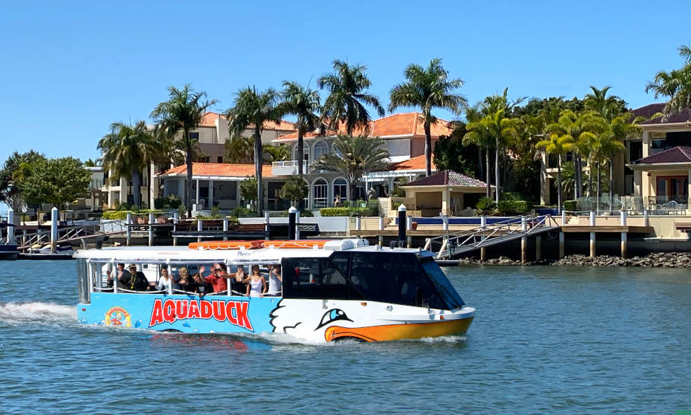 Aquaduck Tours Sunshine Coast Nature and Wildlife Adventure Animals 123 Parkyn Parade Mooloolaba QLD 4557