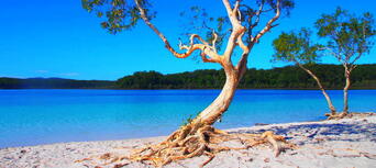 Fraser Island 1 Day Tour from Noosa Thumbnail 2