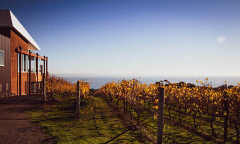 Bellarine Peninsula Food and Wine Tour including Winery Lunch Thumbnail 2