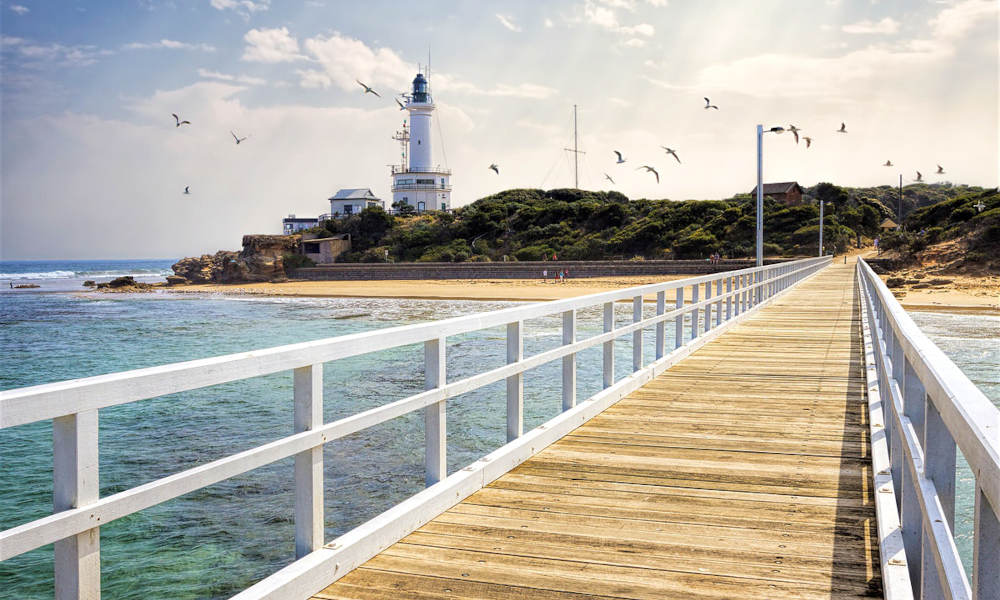 Bellarine Peninsula Sightseeing Tour including Sailing Cruise and Lunch