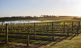 Mornington Peninsula Food and Wine Tour including Winery Lunch Thumbnail 3