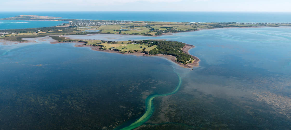 Phillip Island Cowes, Seal Rocks, Penguins & Grand Prix Circuit Helicopter Flight