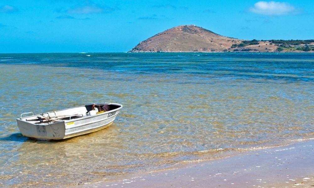 Victor Harbor and McLaren Vale Highlights (without Lunch)