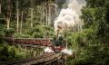 Puffing Billy Belgrave to Gembrook Return Tickets Thumbnail 1