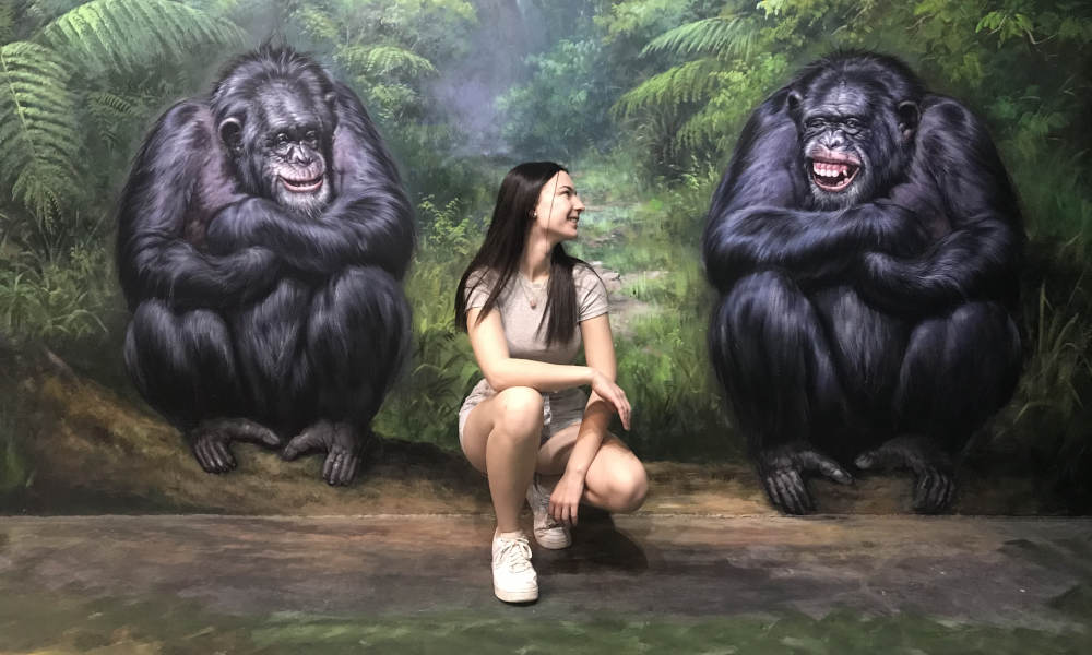 ArtVo Melbourne Tickets Book Now Experience Oz