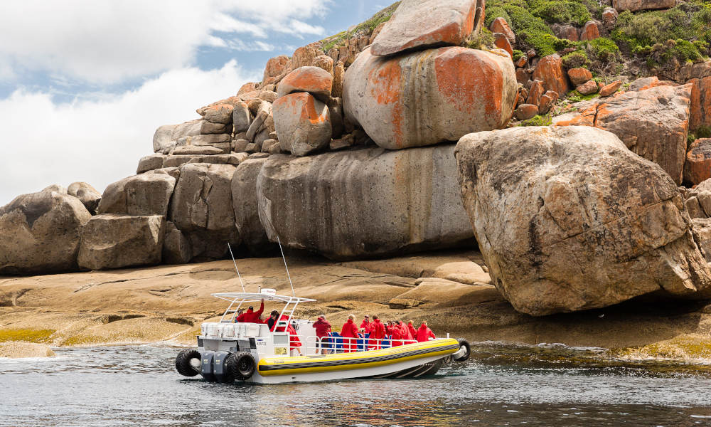 Wilsons Promontory Cruise - 11am Cruise (All Year)