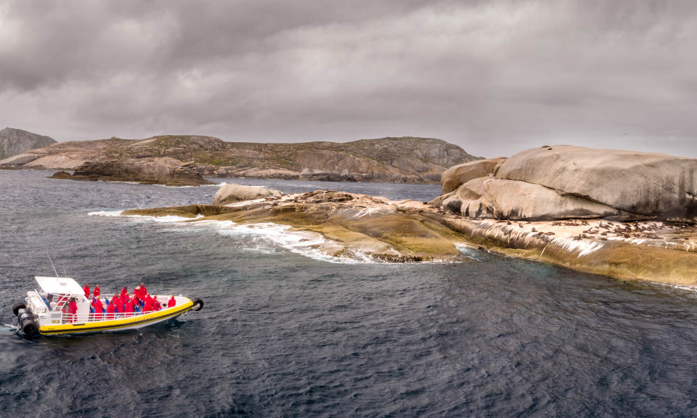 Wilsons Promontory Day Cruise