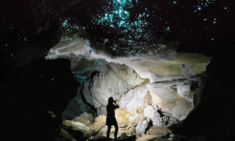 Waitomo Glowworm Caves Eco Tour