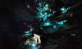 Waitomo Glowworm Caves Eco Tour Thumbnail 4