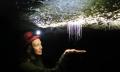 Waitomo Glowworm Caves Eco Tour Thumbnail 6