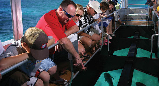 11am Departure - Green Island Full Day Tour