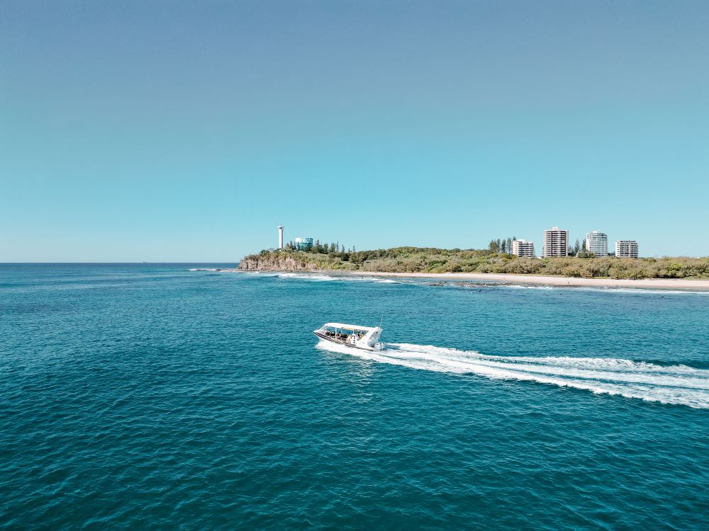 Sunshine Coast Rafting Tour Book Now  Experience Oz