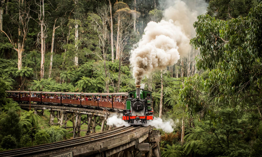 Puffing Billy Lakeside to Gembrook Return Tickets