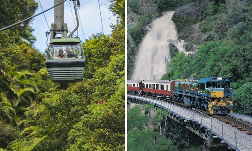 Kuranda Scenic Railway + Skyrail Rainforest Cableway