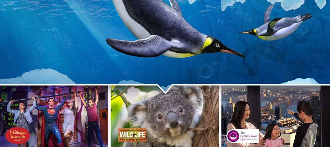 Sydney Attractions Pass - 2 Attractions Exhibitions Nature and Wildlife Adventure Animals Aquarium Wharf 1-5 Wheat Road Darling Harbour Sydney NSW 2000